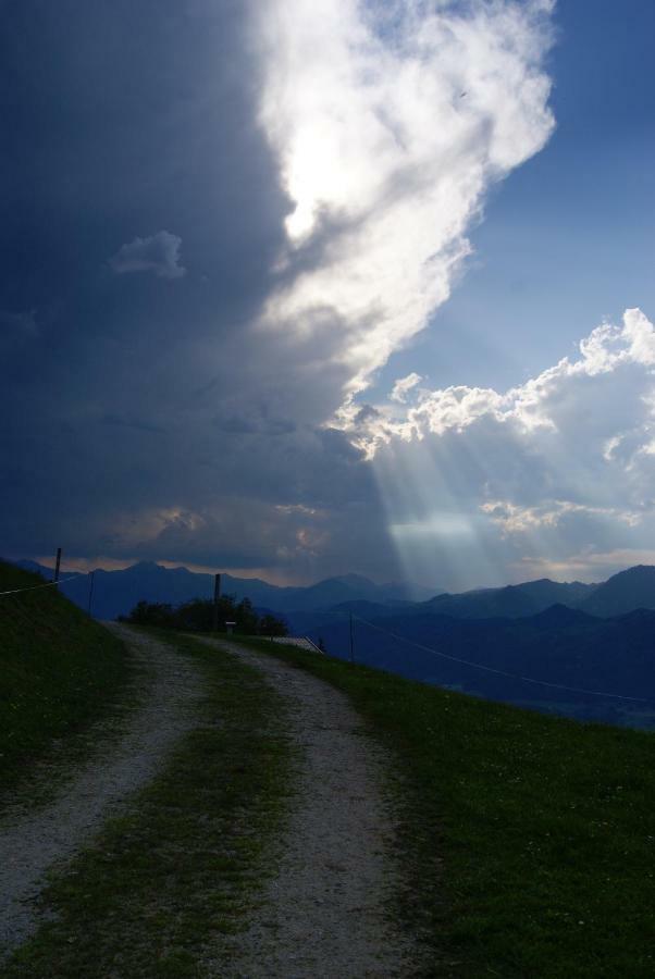 Scheibenwald Huette Villa Kössen Dış mekan fotoğraf