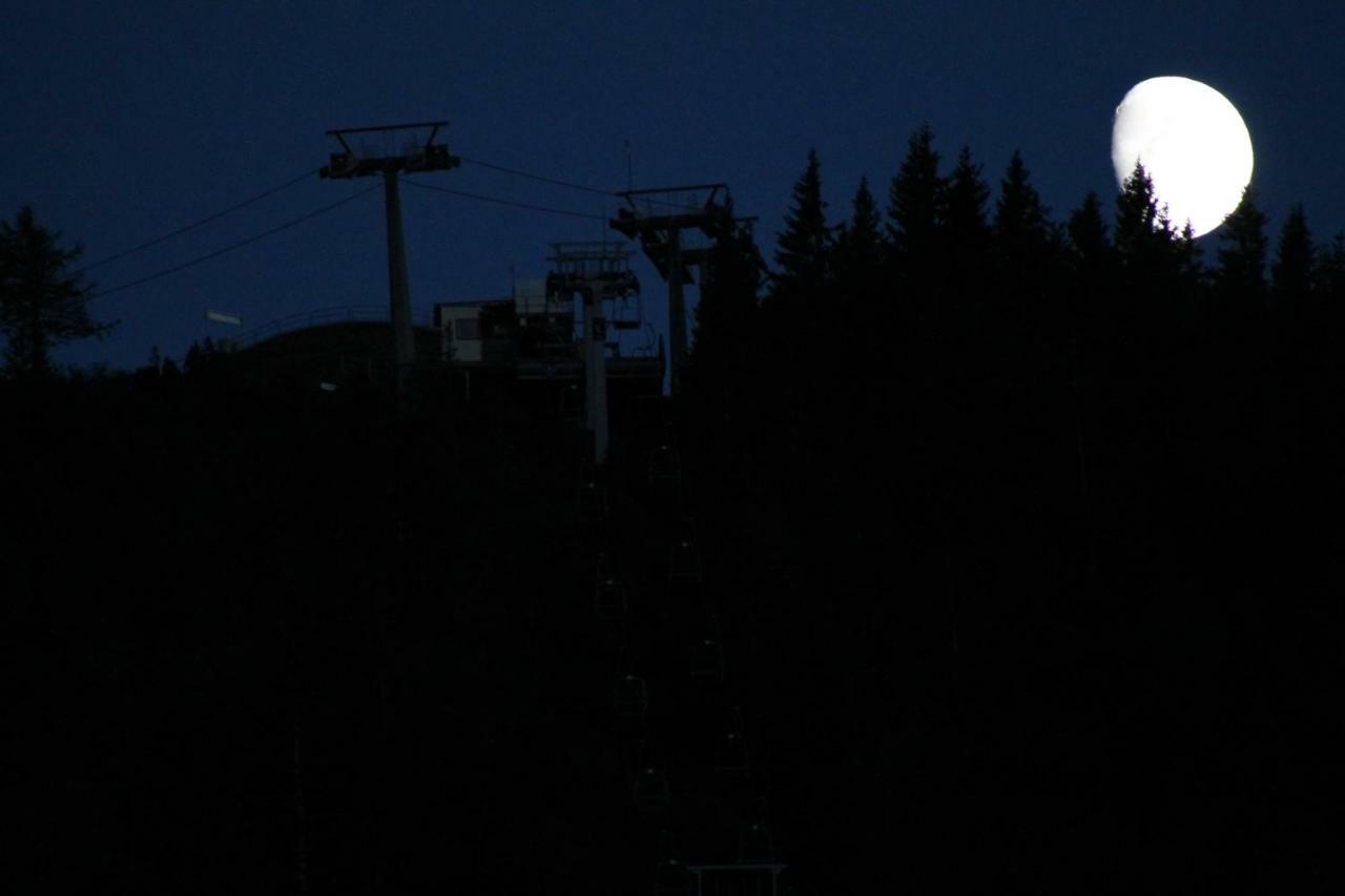 Scheibenwald Huette Villa Kössen Dış mekan fotoğraf